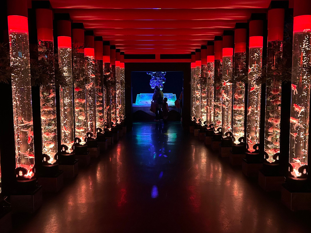 Art Aquarium-Ginza必去景点