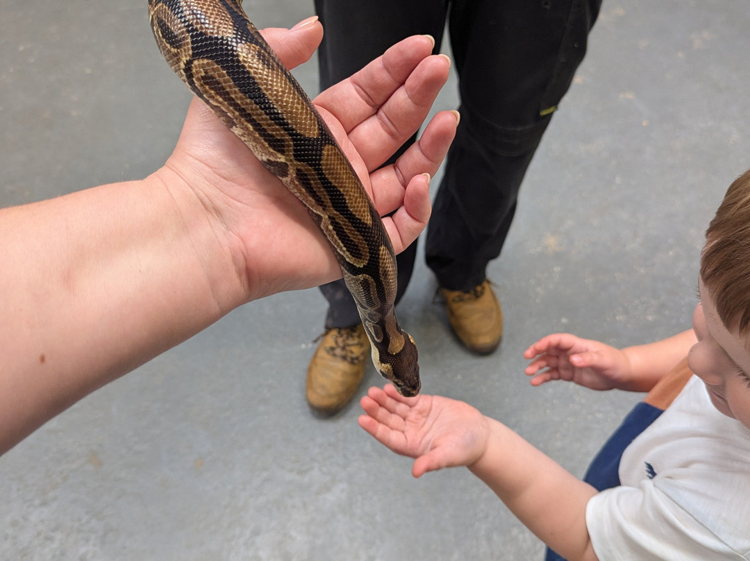Cockfields Farm Park-Ashton-under-Lyne必去景点