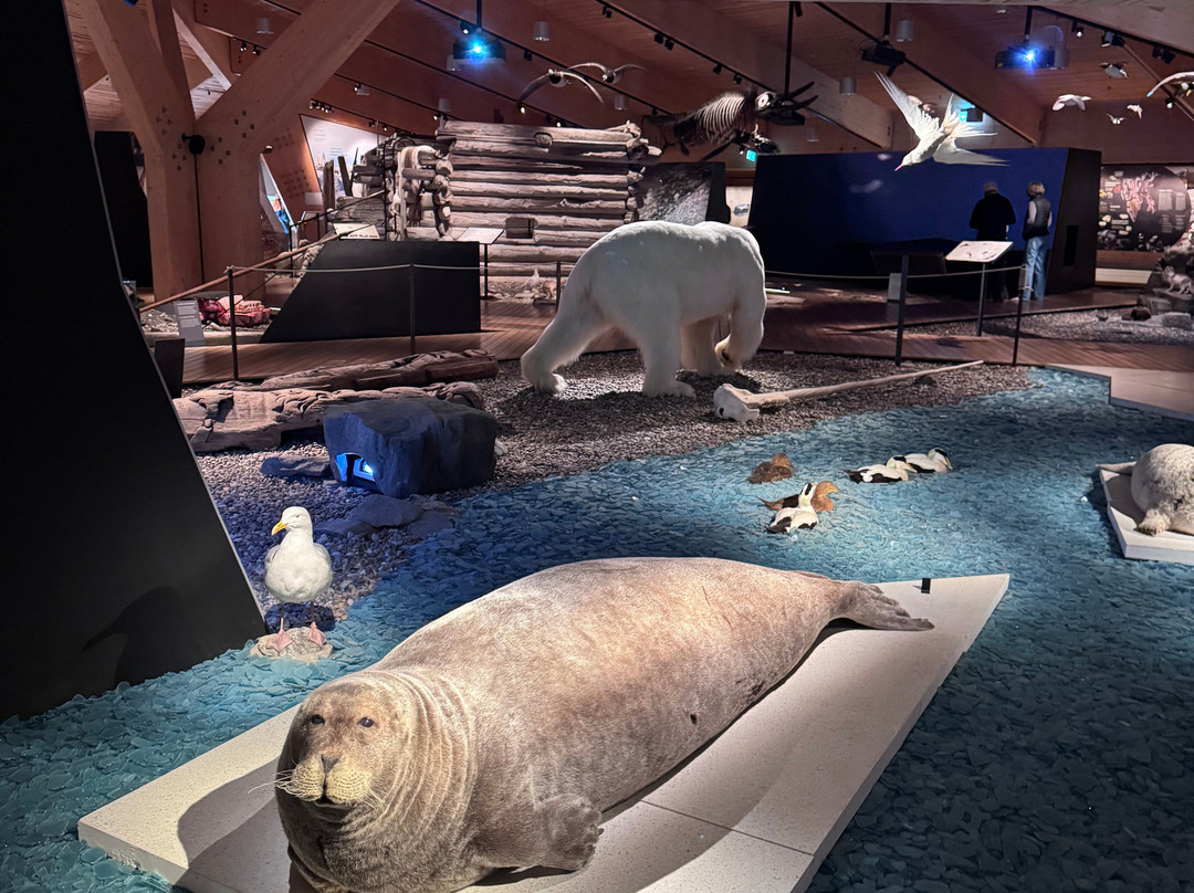 Svalbard Museum-朗伊尔城必去景点