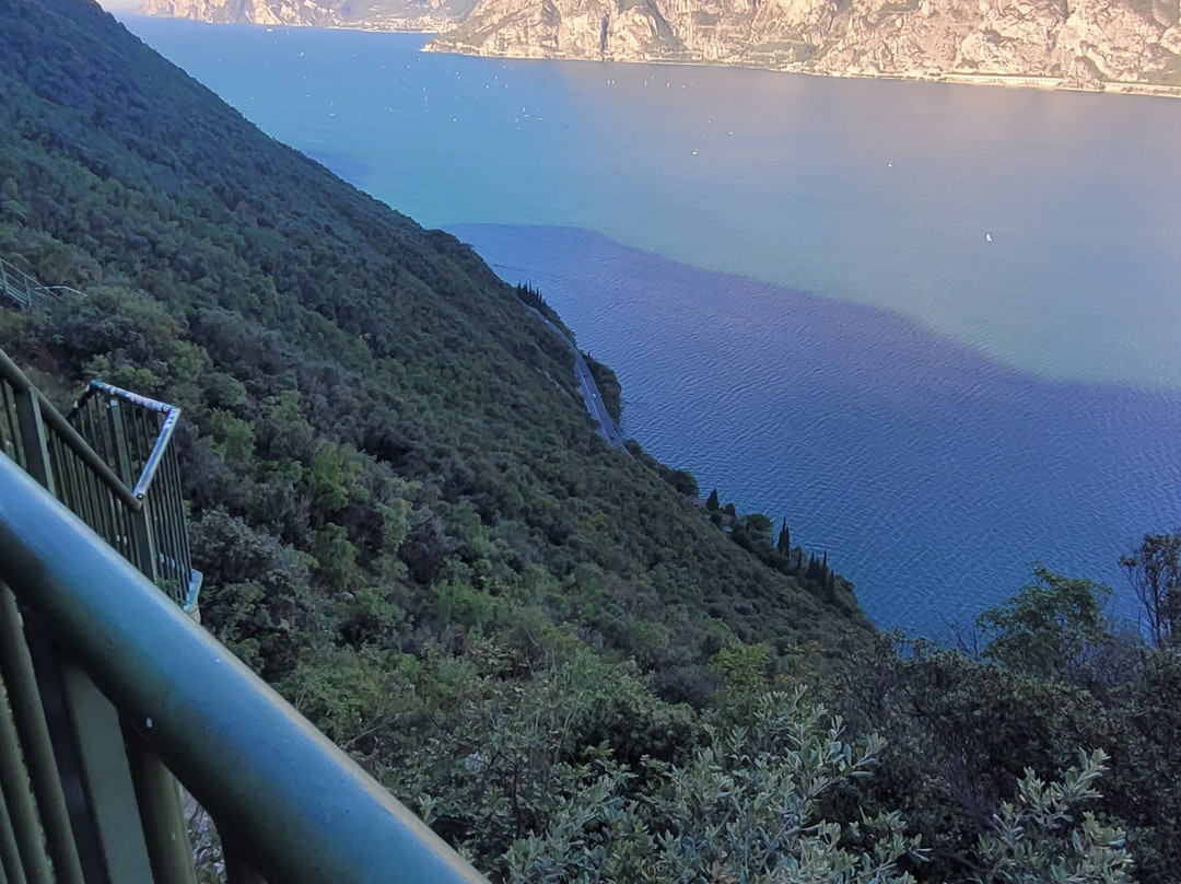 Sentiero panoramico Busatte Tempesta-托尔博莱必去景点