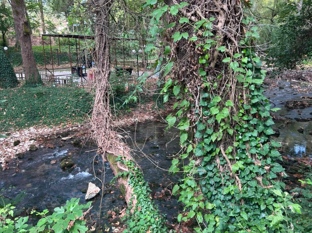 The Cave of river Aggitis-Aggitis必去景点