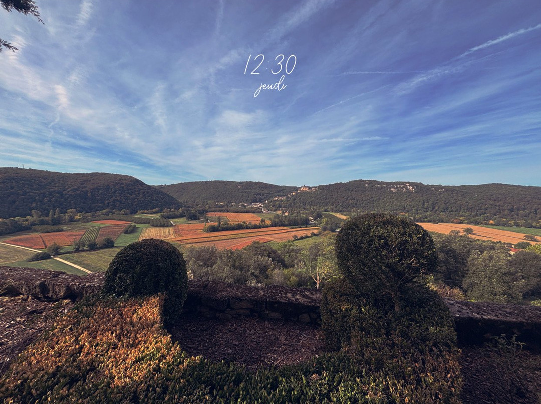 Les Jardins De Marqueyssac-Vezac必去景点