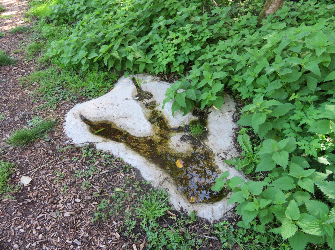 Kingston Maurward Park And Gardens-多切斯特必去景点