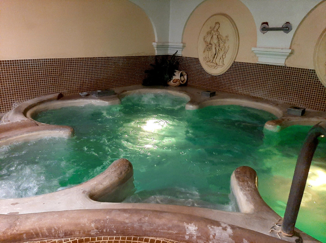 加尔达索尔美丽 SPA 公寓酒店主图