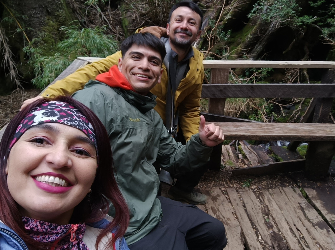 Turismo Aguas Claras Araucanía-特木科必去景点