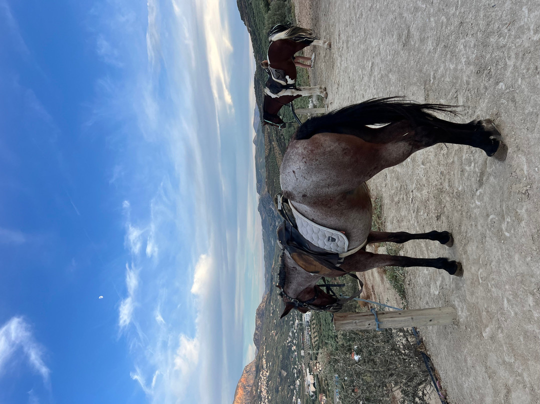Finikia Horseriding-Finikia必去景点