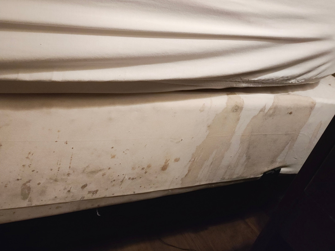 瓦帕科内塔红屋顶套房酒店主图
