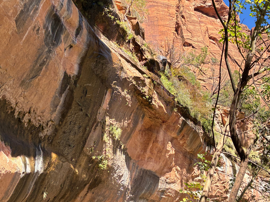 Hyatt Place Springdale/Zion National Park主图