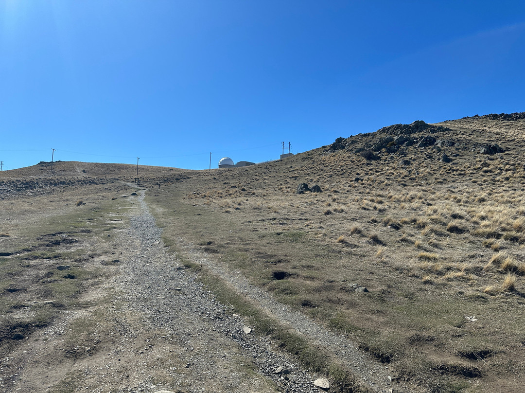 Mount John Summit Circuit Track-特卡波湖必去景点