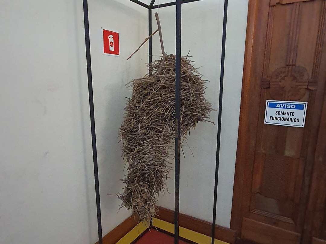 Museu de Biologia Prof. Mello Leitão-Santa Teresa必去景点
