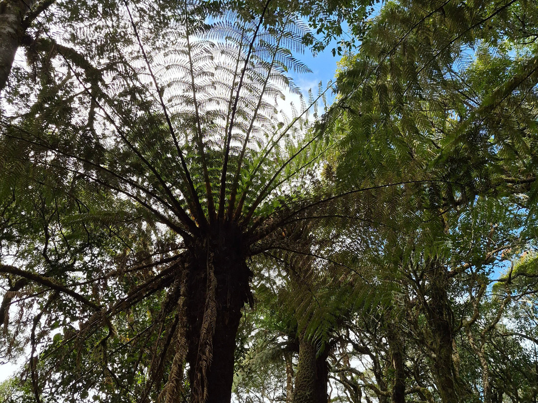 Samaipata Tours Turismo & Artesania-Samaipata必去景点