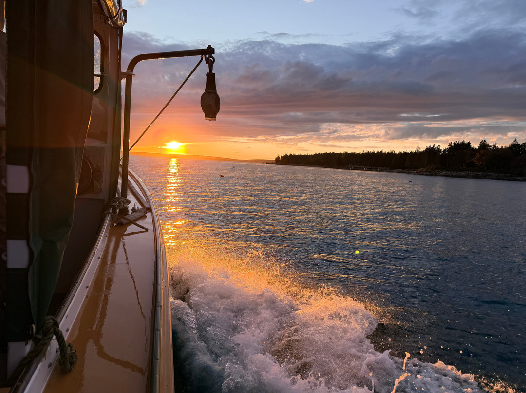 Sail Acadia-Southwest Harbor必去景点