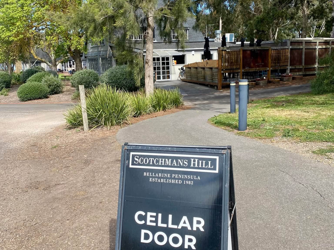 Scotchmans Hill Winery-Drysdale必去景点