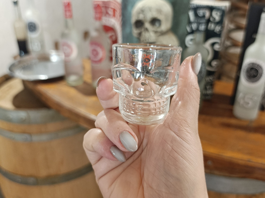 Fundo Los Nichos-Pisco Elqui必去景点