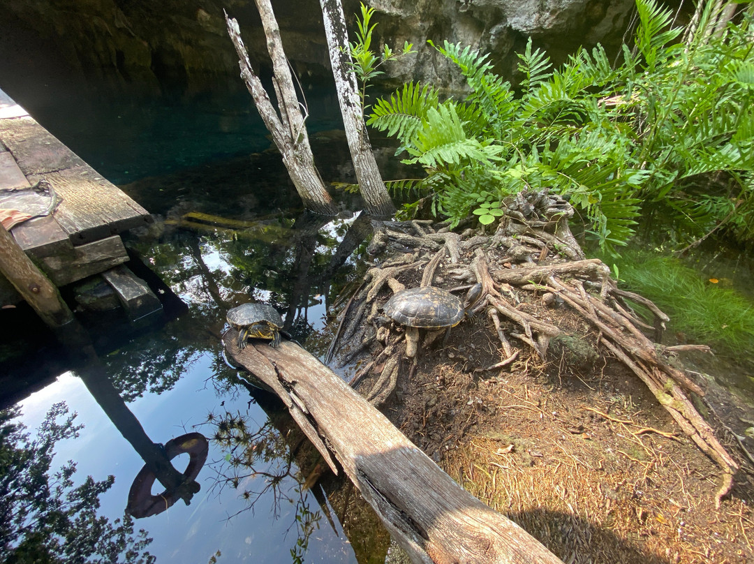 Gran Cenote-图伦必去景点