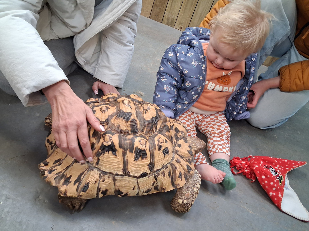 Cockfields Farm Park-Ashton-under-Lyne必去景点