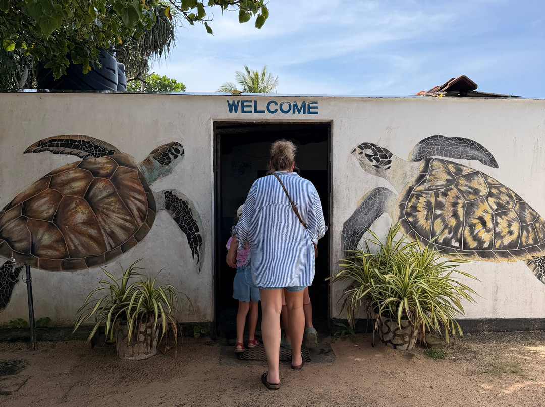 Sea Turtle Conservation Project (Koggala)-克拉必去景点