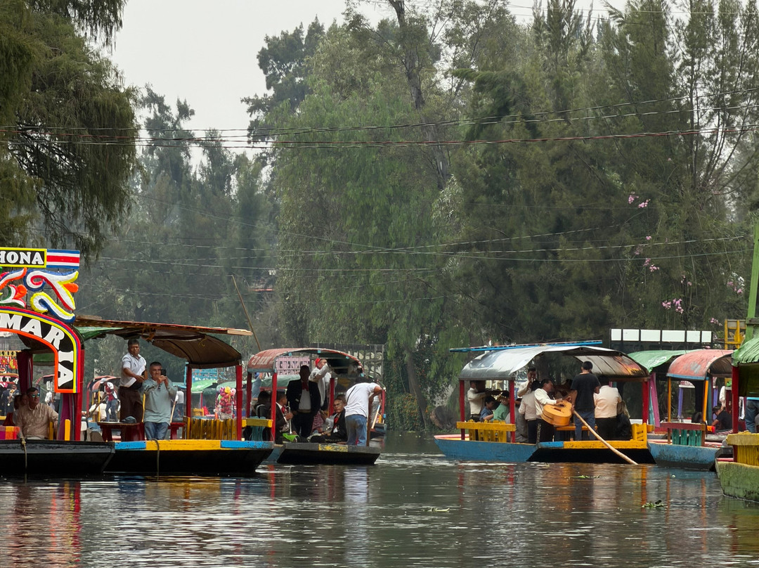 Floating Gardens of Xochimilco-墨西哥城必去景点