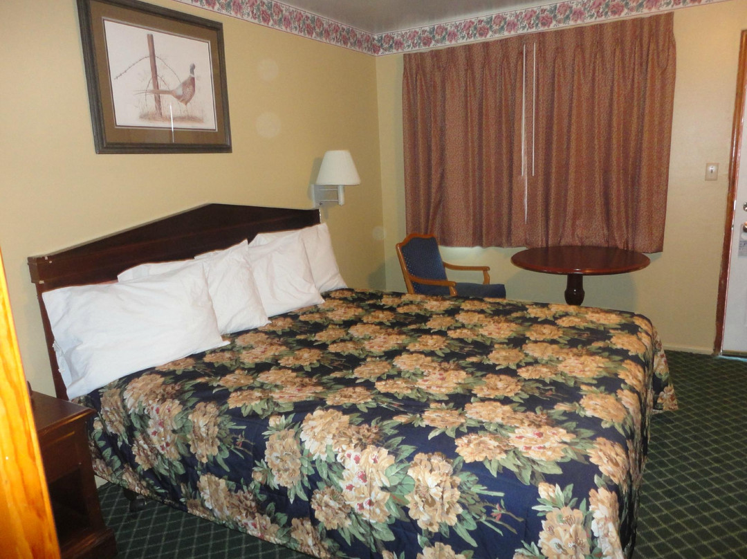 Colusa酒店住宿-科鲁萨汽车旅馆