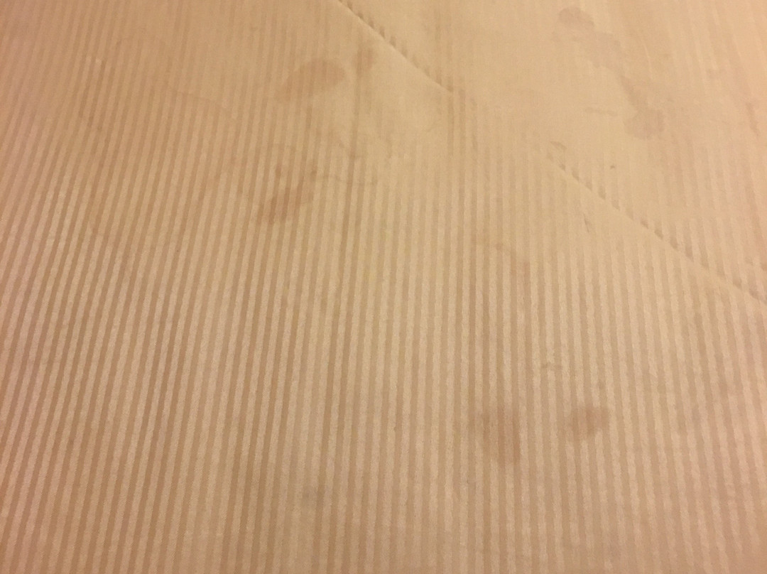 Americas Best Value Inn Altus