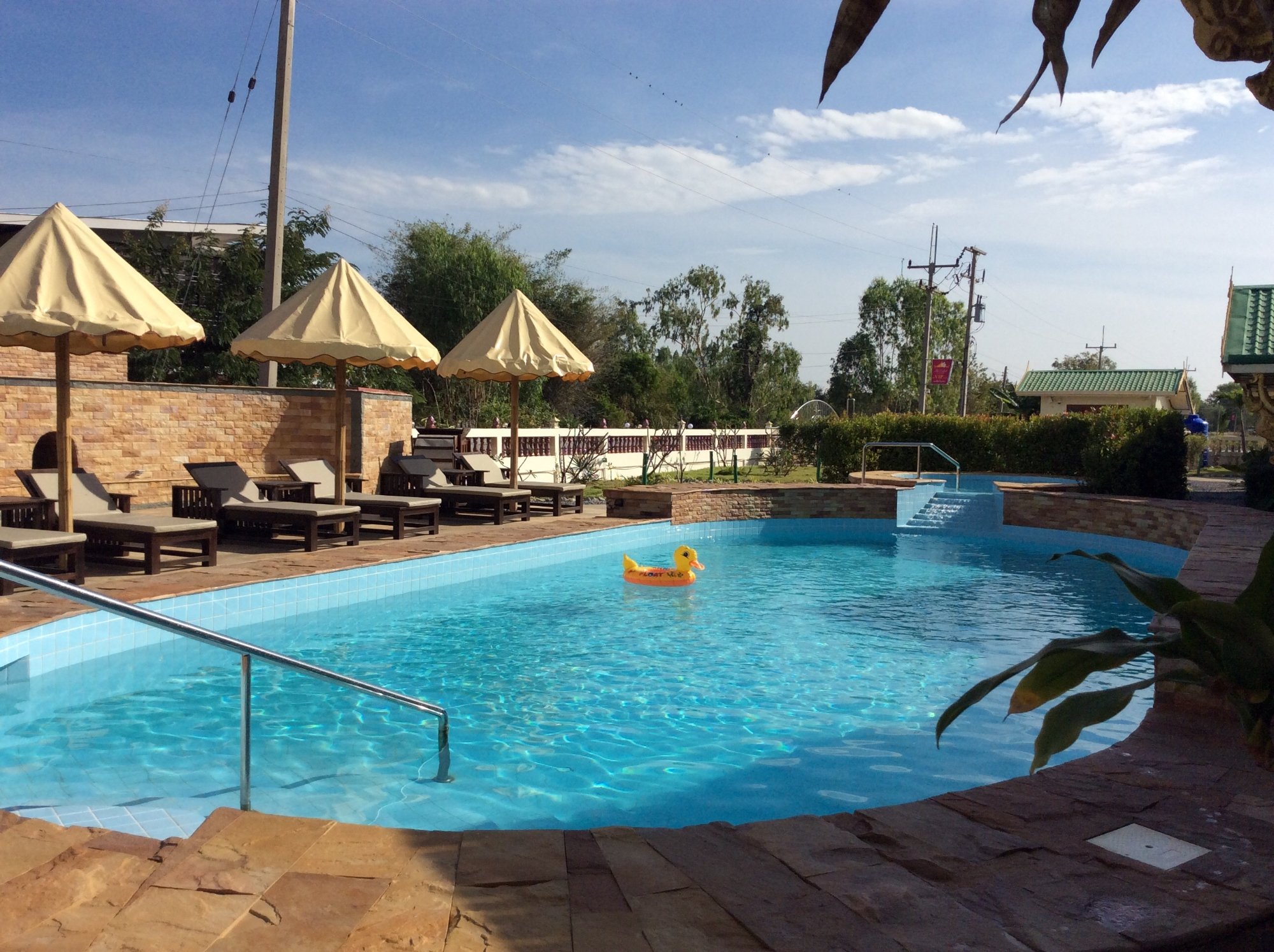 The Orchid Resort & Relax-泳池