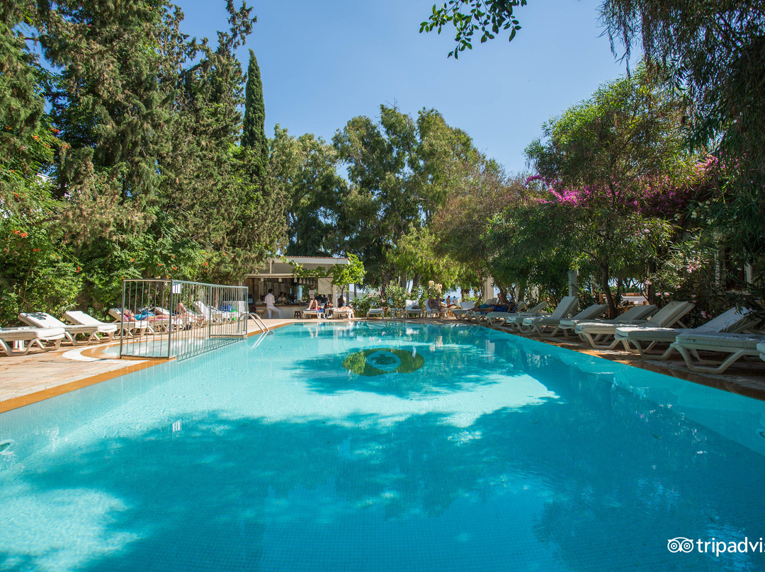 Okaliptus Hotel