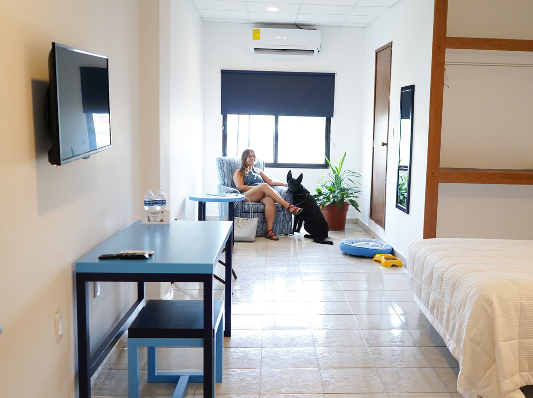 切图马尔酒店住宿-Hotel & Suites Arges