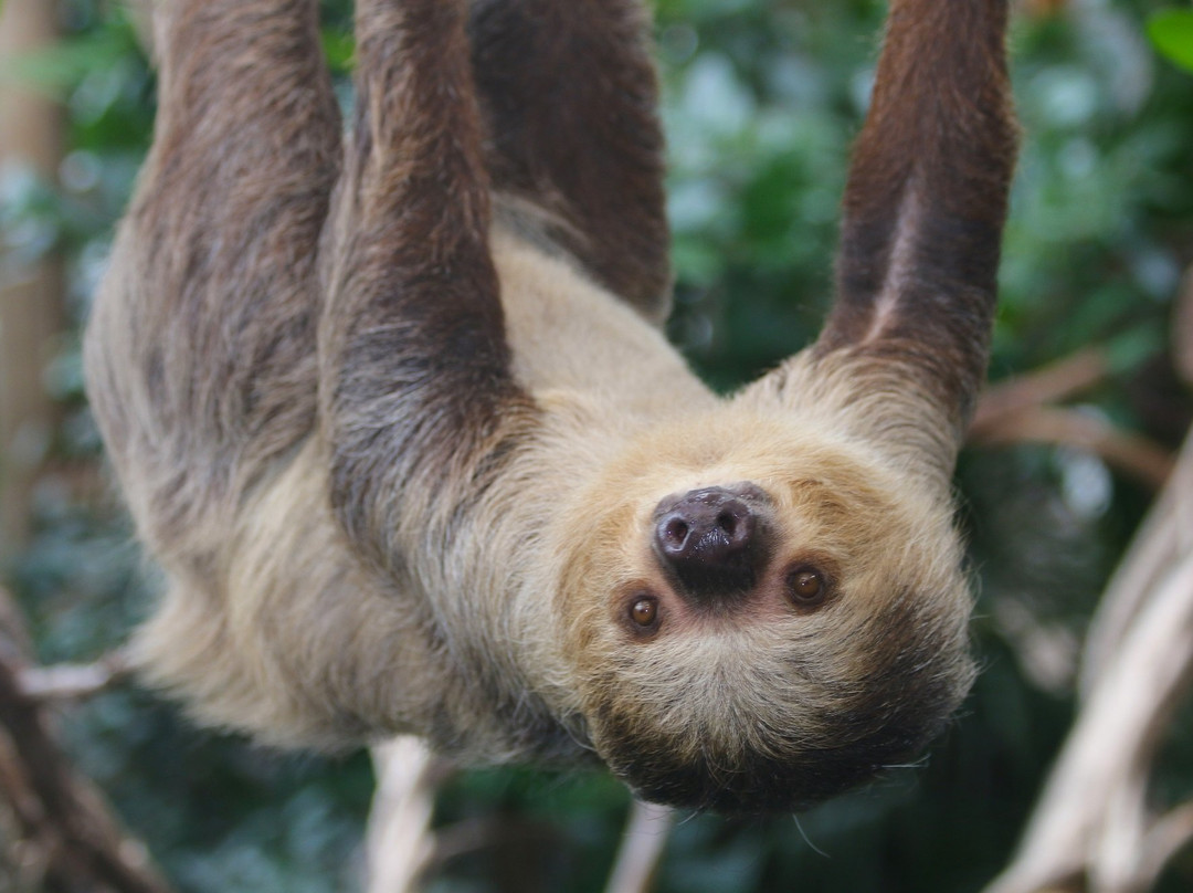 罗杰威廉斯公园动物园-普罗维登斯必去景点