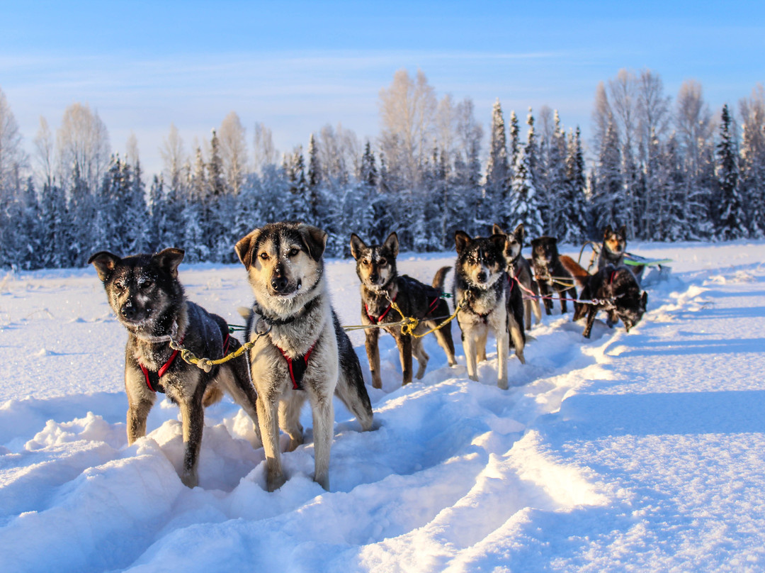 Smokin' Ace Kennels-Two Rivers必去景点
