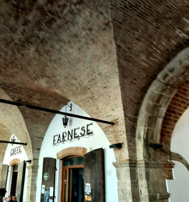 Palazzo Farnese景点图片