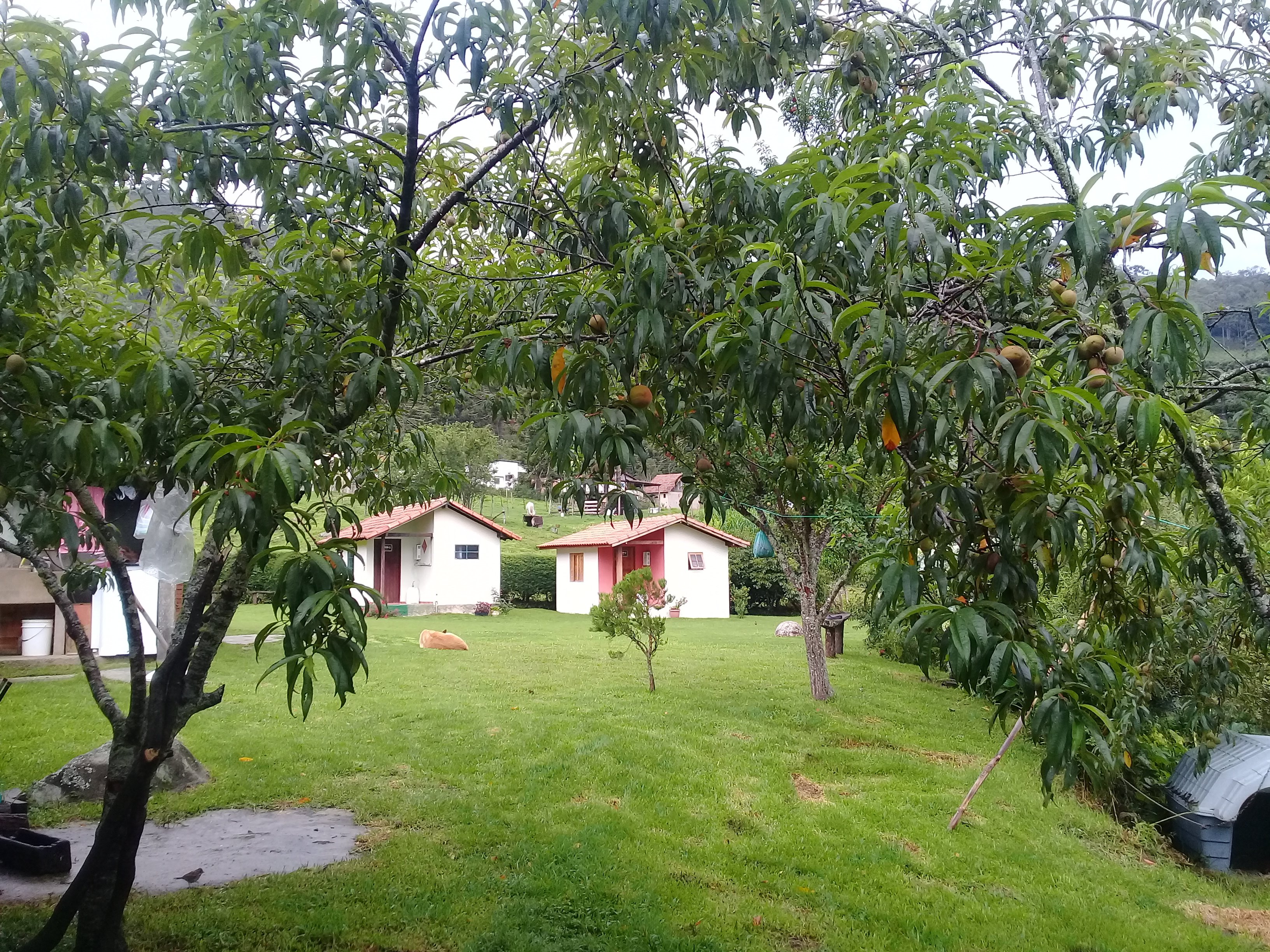 Hotel Cantinho Verde-餐饮
