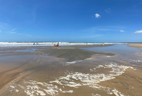 Island surf school景点图片
