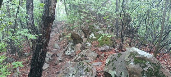 Taehwa San-丹阳郡必去景点