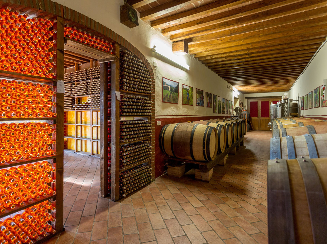 winery Agriturismo Santo Stefano景点图片