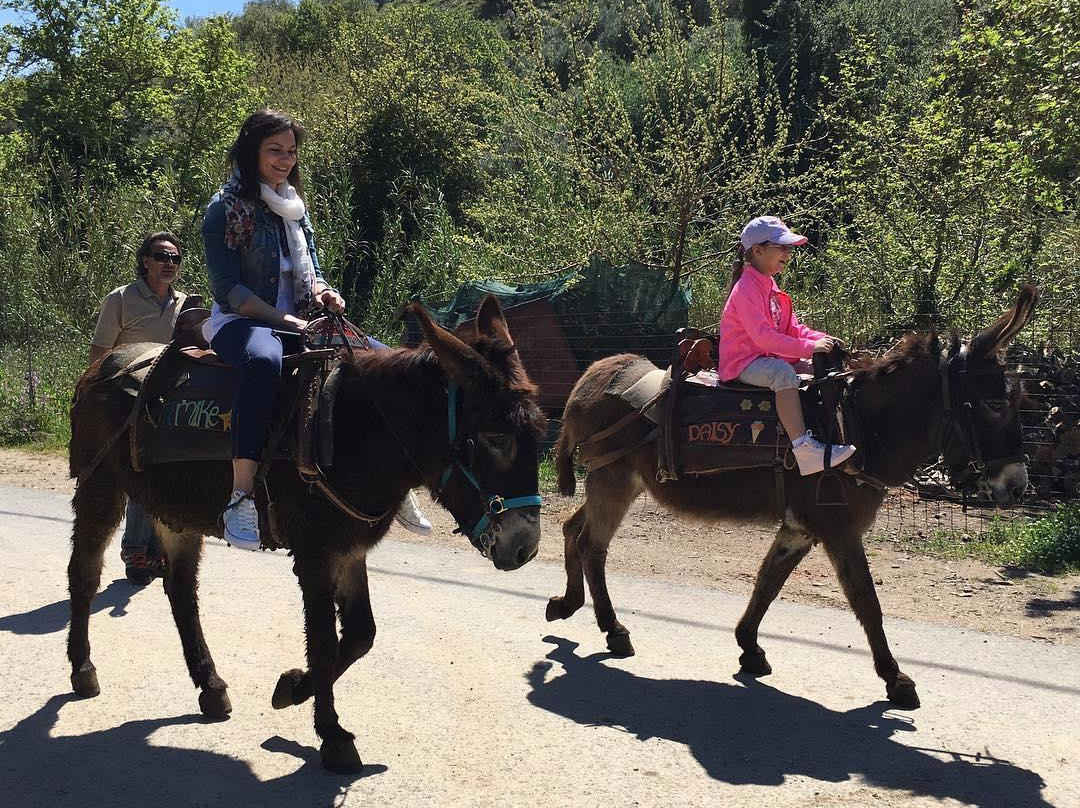 Kritiki Farma Donkey Tours-Potamies必去景点