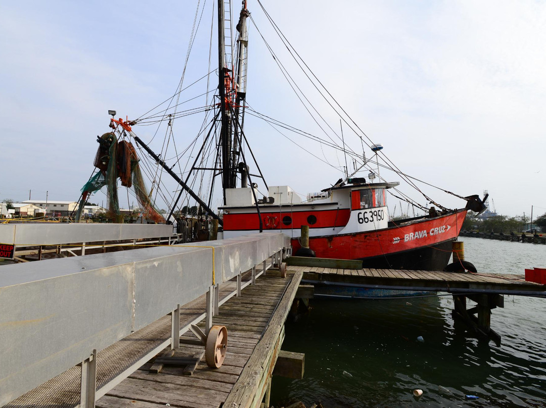 Texas Gulf Trawling Shimp Boil & Tour-布朗斯维尔必去景点
