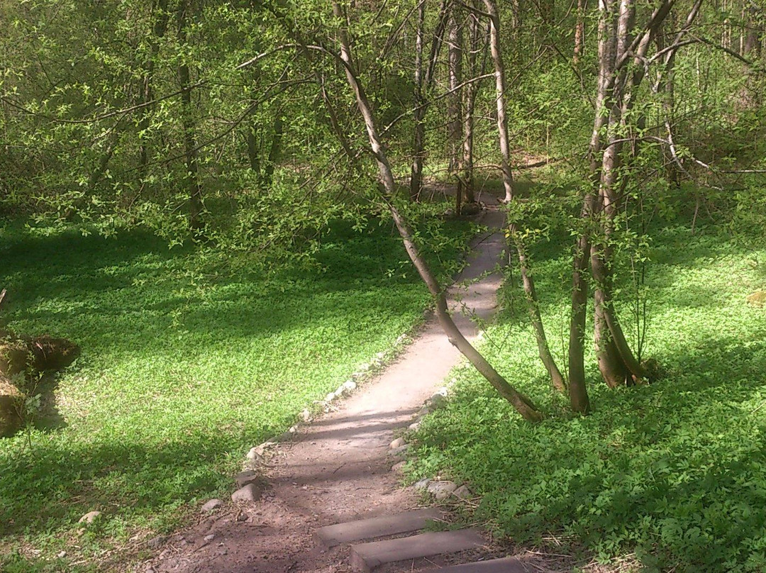 Eco Path景点图片