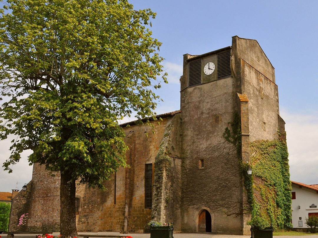 Eglise Saint Jean Baptiste De Saubusse景点图片