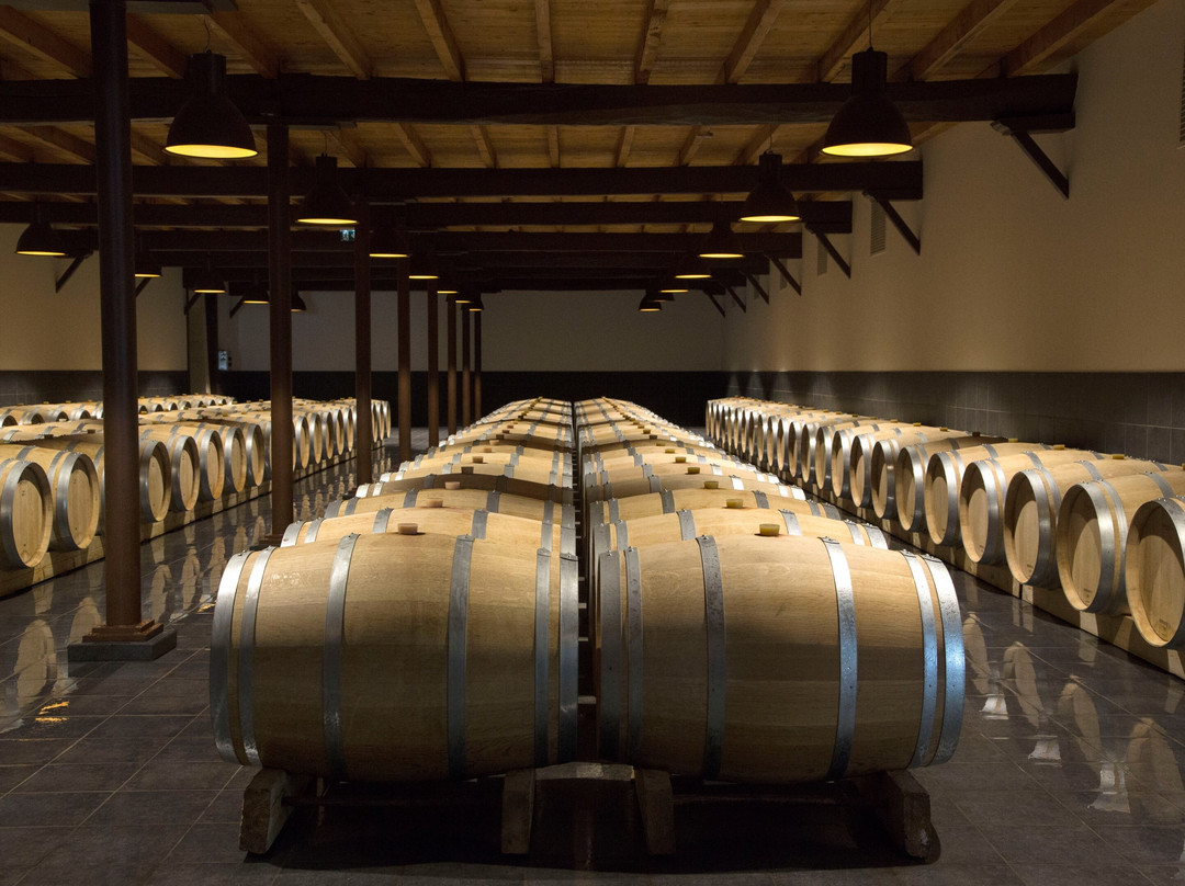 Château Arnauld - Vignobles de Larose