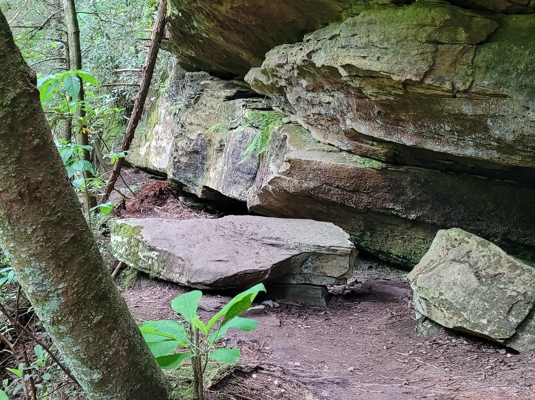 Vanhook Falls-London必去景点