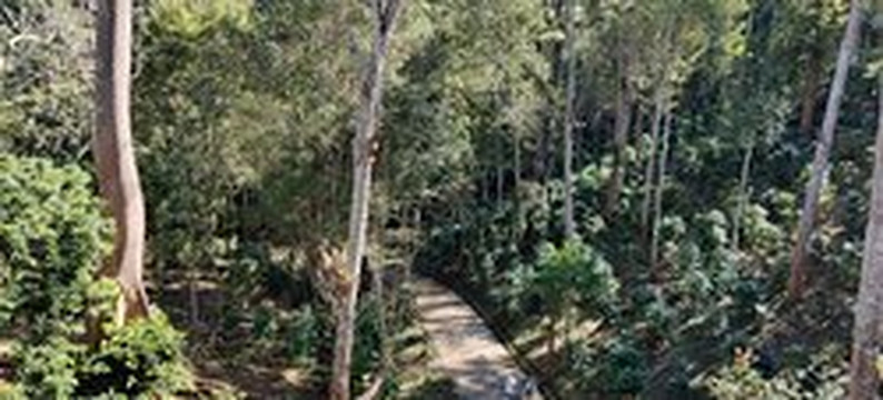 32 Coffee Hill & Resort主图