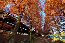 だいてばこ広場-野木町必去景点