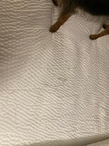 Red Roof Inn Temple主图