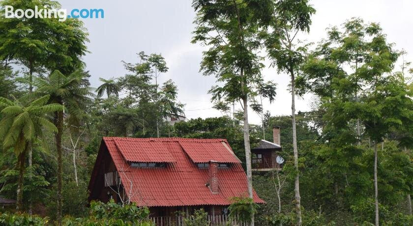 Cabanas Los Cedros主图