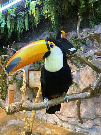 Zoolung Zoolung - Hanam-河南市必去景点