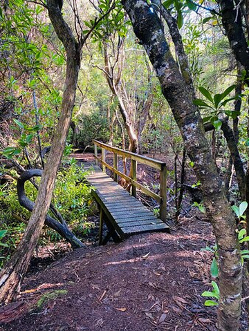 South Cape Bay-Southwest National Park必去景点