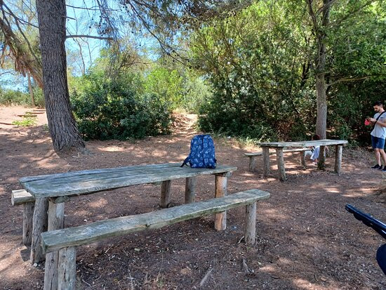 Riserva Naturale San Giuliano-Miglionico必去景点