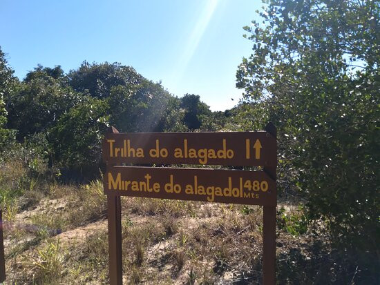 Parque Estadual Paulo Cesar Vinha景点图片