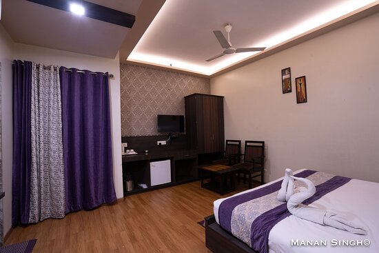 Hotel The Samrat-客卧