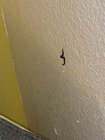 米尔顿快捷假日酒店主图